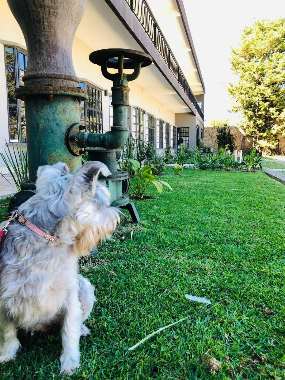 Hotel Rocaval San Cristóbal de Las Casas Buitenkant foto